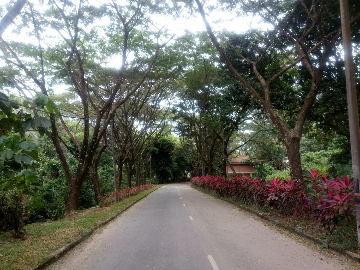 Janaview Taiping Hotel Exterior foto